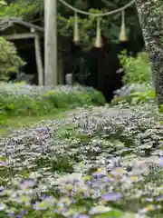 修那羅山安宮神社(長野県)