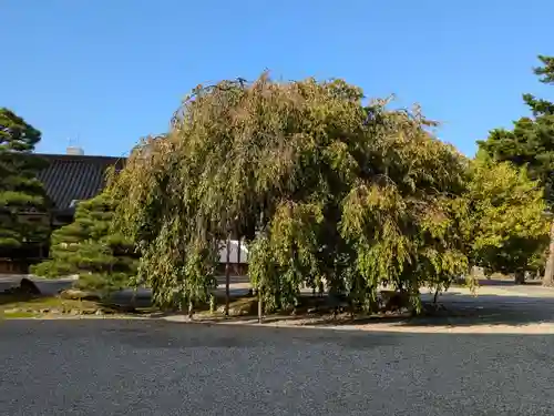 富山縣護國神社の自然