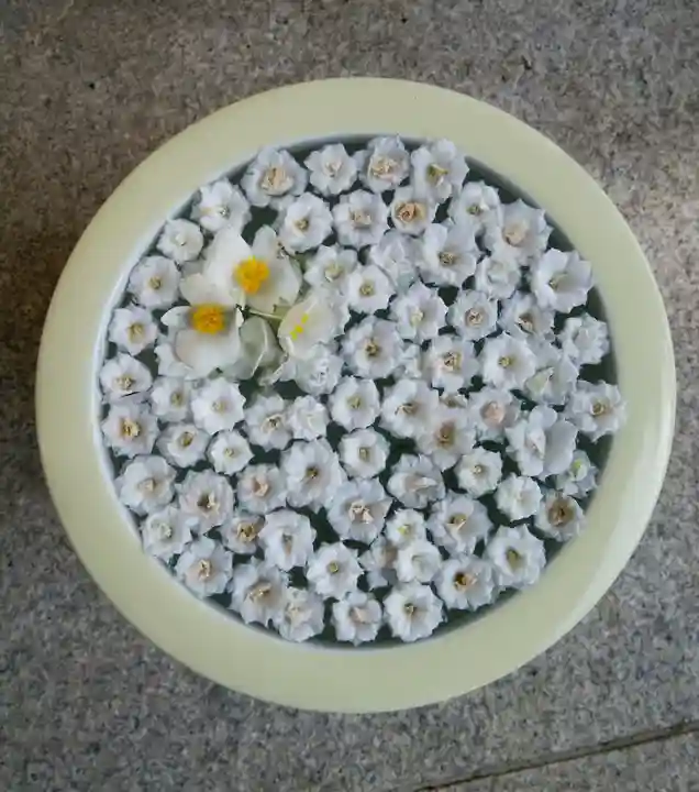 帯廣神社の手水舎