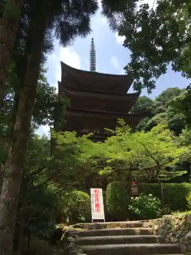 瑠璃光寺の塔