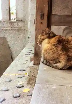 小野照崎神社(東京都)