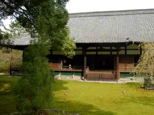 青蓮院門跡の本殿・本堂