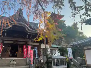 西光寺の本殿・本堂