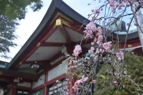 居木神社(東京都)