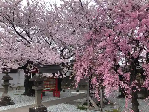 七郷神社の{uncategorized: "未分類", other: "その他", undefined: "問題あり", building: "その他建物", grave: "お墓", sacred_gate: "鳥居", guardian: "狛犬", statue: "像", buddha: "仏像", history: "歴史", nature: "自然", garden: "庭園", animal: "動物", pagoda: "塔", temizu: "手水舎", mountain_gate: "山門・神門", sanctuary: "本殿・本堂", subordinate: "末社・摂社", art: "芸術", scenery: "景色", jizo: "地蔵", ema: "絵馬", goshuin: "御朱印", omikuji: "おみくじ", items: "授与品その他", amulet: "お守り", goshuincho: "御朱印帳", eats: "食事", festival: "お祭り", votive_dance: "神楽", shichigosan: "七五三参", wedding: "結婚式", experience: "体験その他", initially: "初詣", around: "周辺", anti_infection: "感染症対策"}