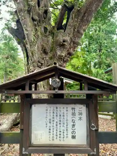 天宮神社(静岡県)