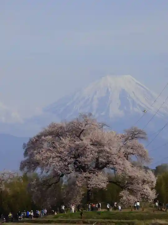実相寺(山梨県)