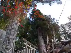 田瀬神社(岐阜県)