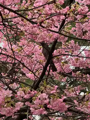 新宿下落合氷川神社(東京都)