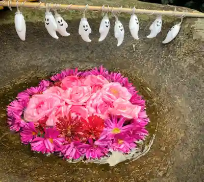 真言宗　善通寺派　薬王寺(香川県)