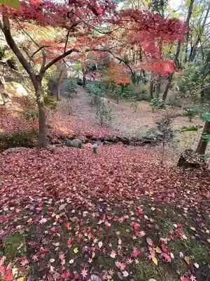 成田山新勝寺(千葉県)