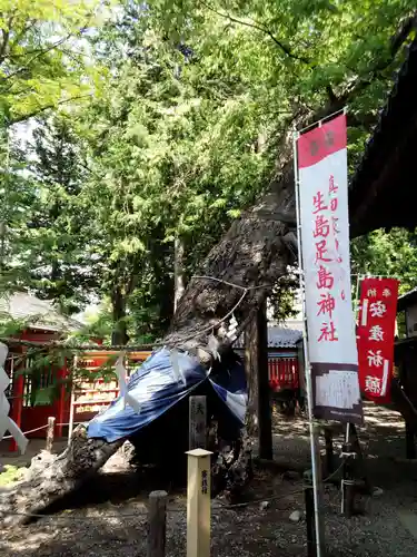 生島足島神社のその他建物