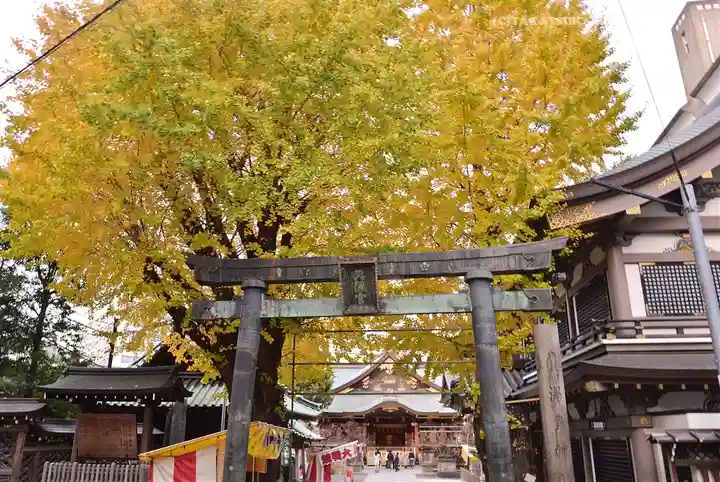 湯島天満宮(東京都)
