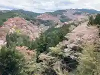 𠮷水神社(吉水神社)(奈良県)