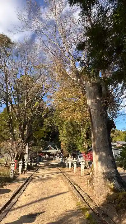 八阪神社(滋賀県)