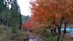 貴船神社の自然