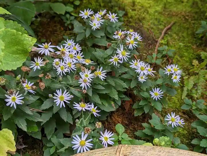 詩仙堂(丈山寺)(京都府)