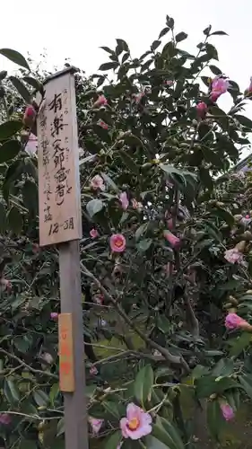 城南宮(京都府)