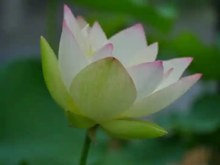 極楽山 浄土寺(北海道)