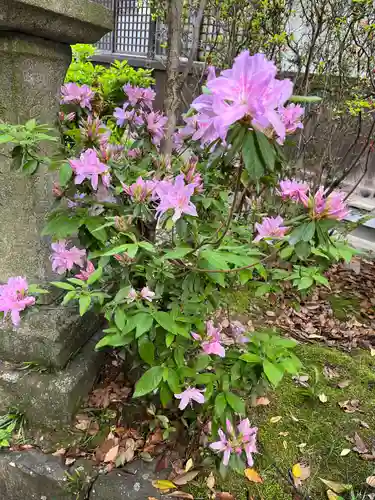 石清水八幡宮(京都府)