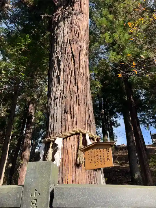 諏訪大社下社春宮(長野県)