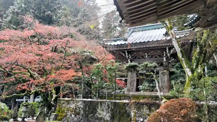 最乗寺(道了尊)(神奈川県)