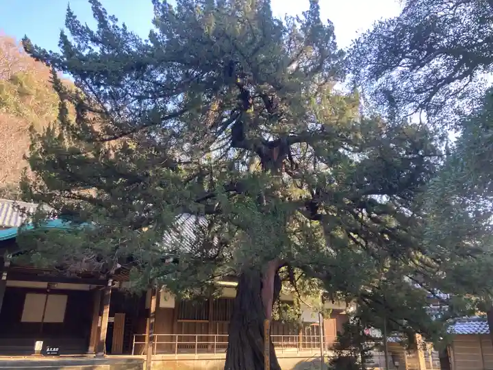 円覚寺(神奈川県)