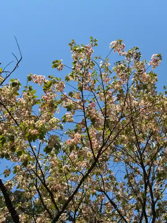 今市瀧尾神社の{uncategorized: "未分類", other: "その他", undefined: "問題あり", building: "その他建物", grave: "お墓", sacred_gate: "鳥居", guardian: "狛犬", statue: "像", buddha: "仏像", history: "歴史", nature: "自然", garden: "庭園", animal: "動物", pagoda: "塔", temizu: "手水舎", mountain_gate: "山門・神門", sanctuary: "本殿・本堂", subordinate: "末社・摂社", art: "芸術", scenery: "景色", jizo: "地蔵", ema: "絵馬", goshuin: "御朱印", omikuji: "おみくじ", items: "授与品その他", amulet: "お守り", goshuincho: "御朱印帳", eats: "食事", festival: "お祭り", votive_dance: "神楽", shichigosan: "七五三参", wedding: "結婚式", experience: "体験その他", initially: "初詣", around: "周辺", anti_infection: "感染症対策"}