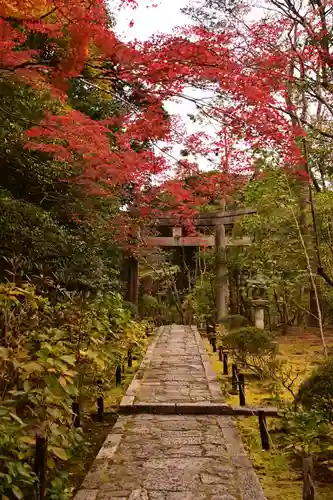 金地院(京都府)