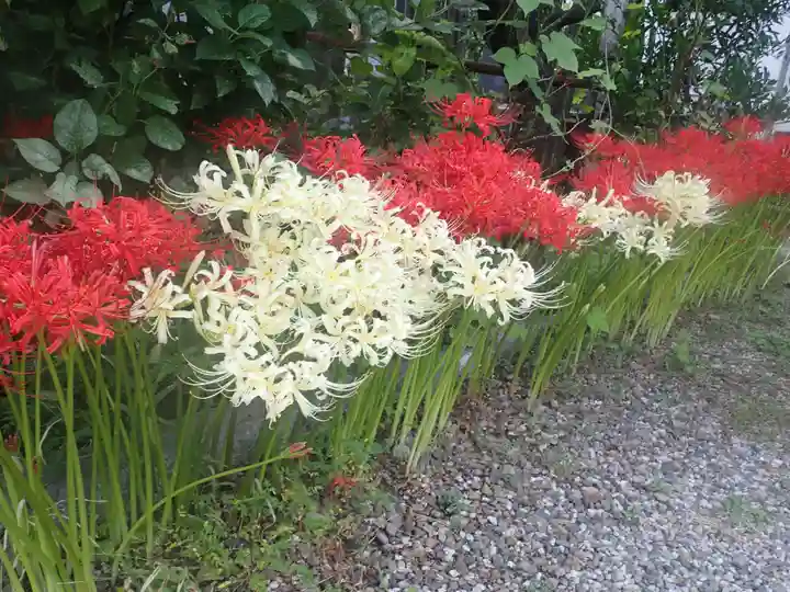 元三島神社(東京都)