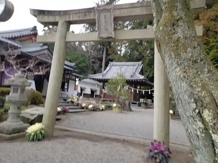 立志神社(滋賀県)