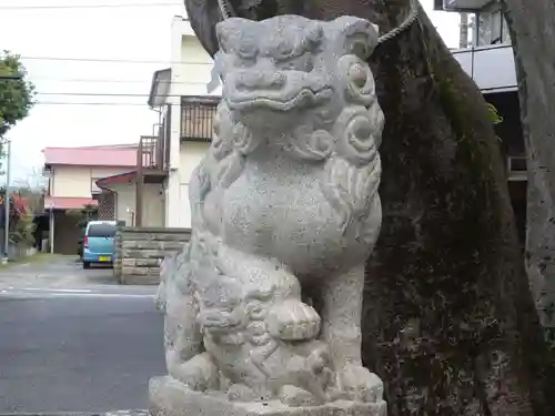 三島神社の狛犬