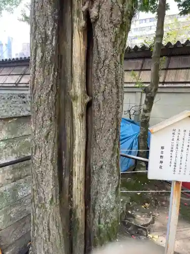 那古野神社の自然