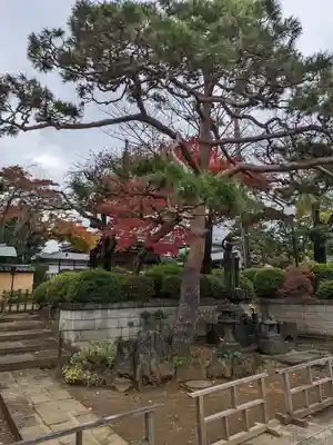 護国寺(東京都)