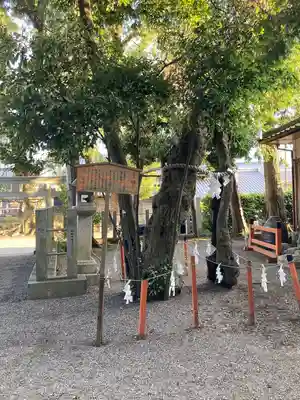 賀茂神社(滋賀県)