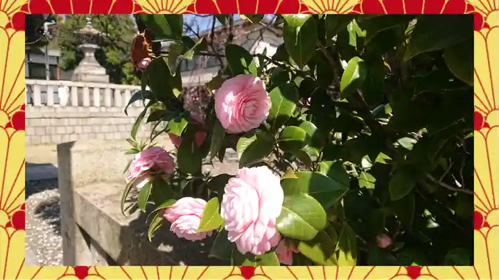 尾久八幡神社(東京都)