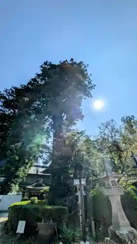 香取神宮(千葉県)