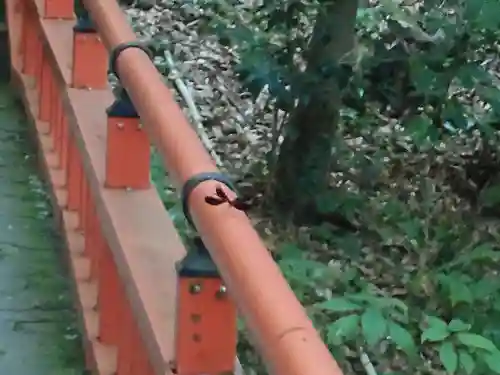 宇佐神宮(大分県)