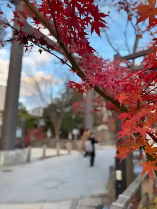 四柱神社(長野県)