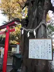 新田神社の自然