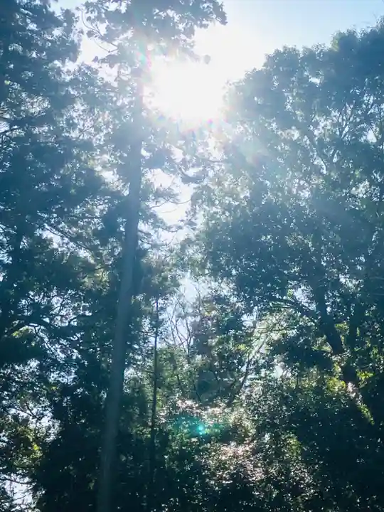 星宮神社の景色