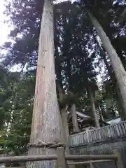 気多若宮神社の自然