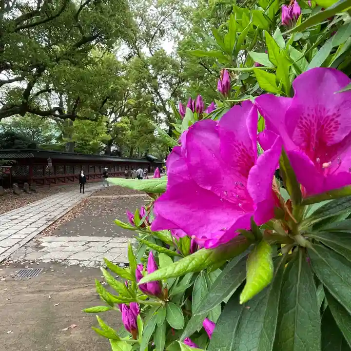 根津神社の自然