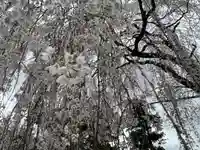 久遠寺(山梨県)