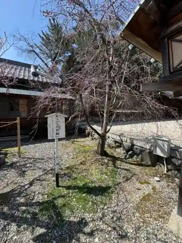 滋賀県護国神社(滋賀県)