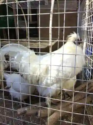 榮久山大法寺(東京都)