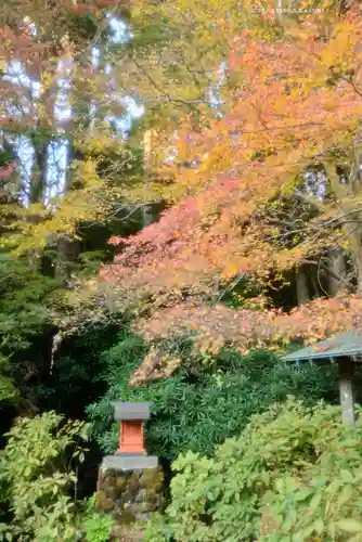 箱根神社(神奈川県)