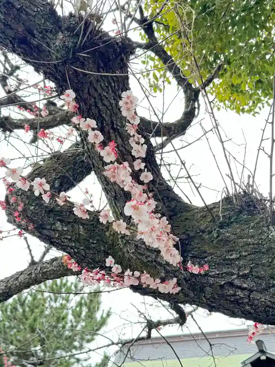 新宿下落合氷川神社(東京都)
