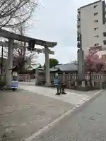 今戸神社の{uncategorized: "未分類", other: "その他", undefined: "問題あり", building: "その他建物", grave: "お墓", sacred_gate: "鳥居", guardian: "狛犬", statue: "像", buddha: "仏像", history: "歴史", nature: "自然", garden: "庭園", animal: "動物", pagoda: "塔", temizu: "手水舎", mountain_gate: "山門・神門", sanctuary: "本殿・本堂", subordinate: "末社・摂社", art: "芸術", scenery: "景色", jizo: "地蔵", ema: "絵馬", goshuin: "御朱印", omikuji: "おみくじ", items: "授与品その他", amulet: "お守り", goshuincho: "御朱印帳", eats: "食事", festival: "お祭り", votive_dance: "神楽", shichigosan: "七五三参", wedding: "結婚式", experience: "体験その他", initially: "初詣", around: "周辺", anti_infection: "感染症対策"}