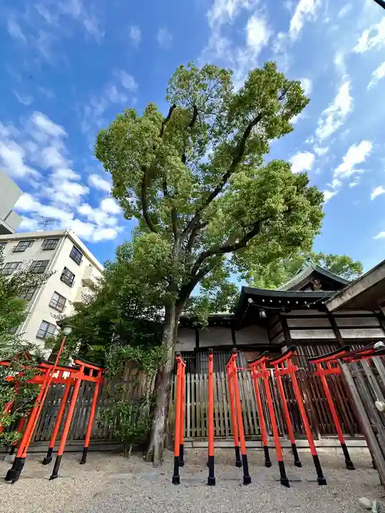 堀越神社(大阪府)